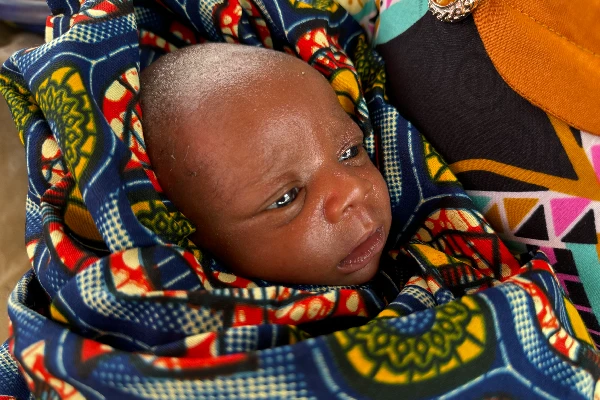 Meet Baby Ansumana, the newest addition to a thriving household economy